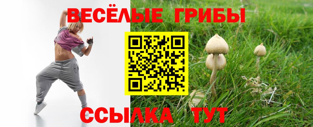 Псилоцибиновые грибы GOLDEN TEACHER  Псилоцибиновые грибы мухоморы  Вход с VPN  Заречный 